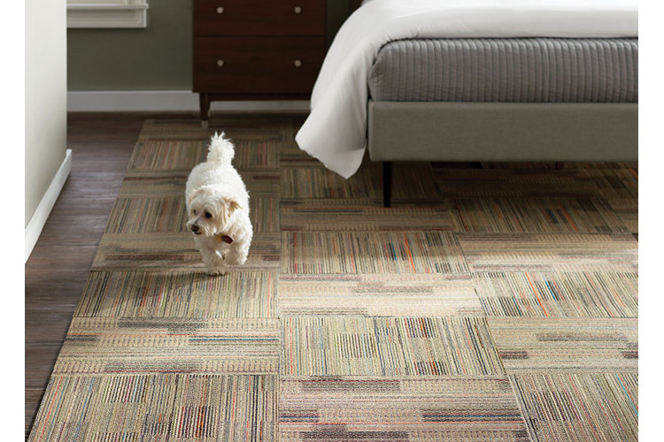 How to Choose the Best Carpet Tiles for Your Room Wayfair